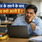 दोपहर के खाने
