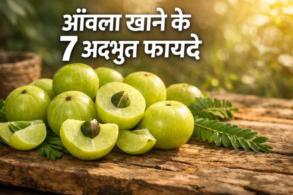 आँवला खाने के 7 अद्भुत फायदे जो आपकी सेहत बदल देंगे। आँवला खाने के फायदे