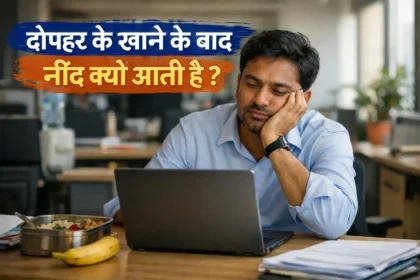 दोपहर के खाने