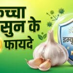 कच्चा लहसुन खाने के फायदे