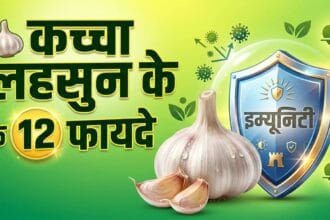 कच्चा लहसुन खाने के फायदे